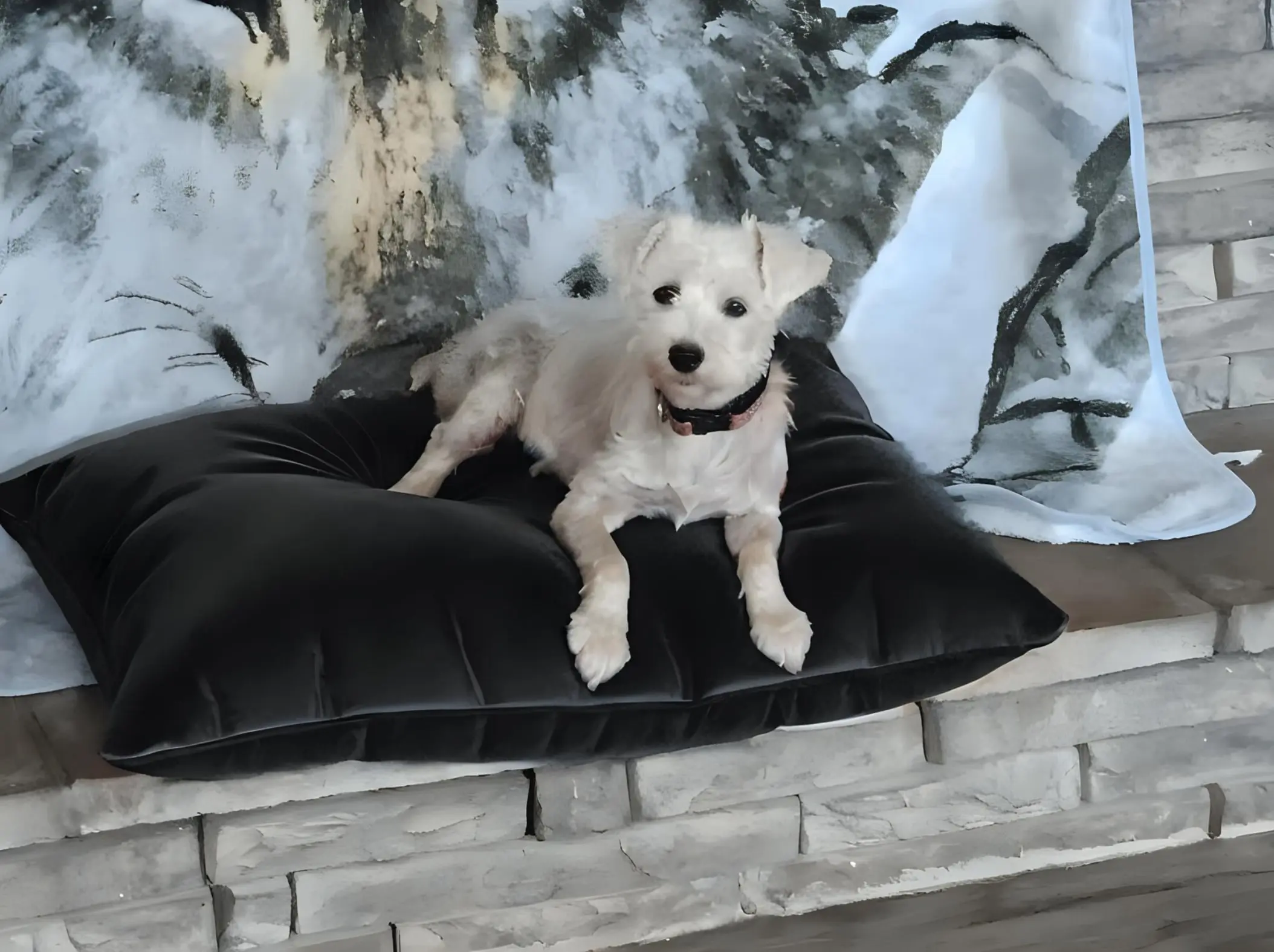 BeBe's Precious Pups